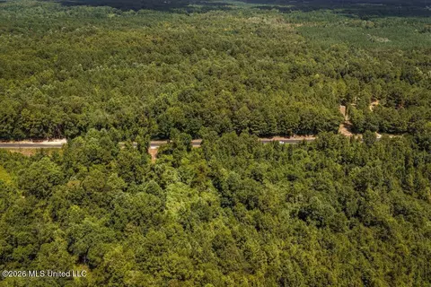 Joe Booth Road, Collins, MS 39428 photo 18