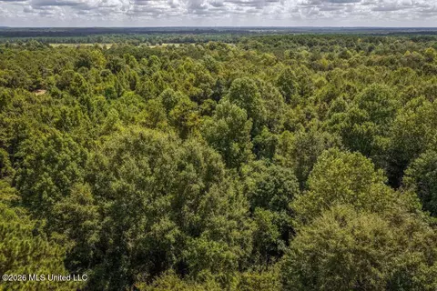 Joe Booth Road, Collins, MS 39428 photo 24