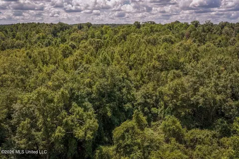 Joe Booth Road, Collins, MS 39428 photo 26