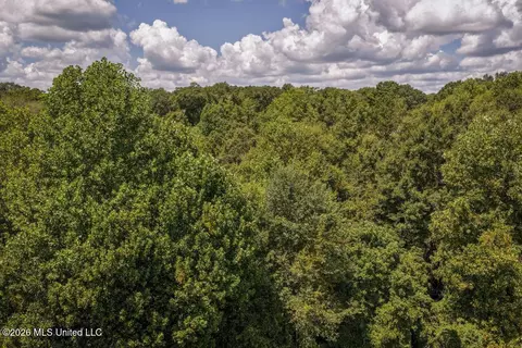 Joe Booth Road, Collins, MS 39428 photo 25