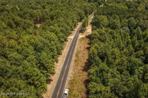 Joe Booth Road, Collins, MS 39428 photo 33