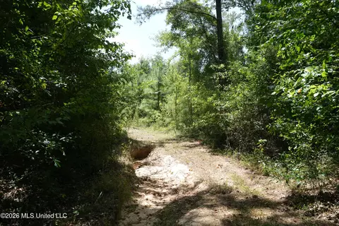 Joe Booth Road, Collins, MS 39428 photo 15