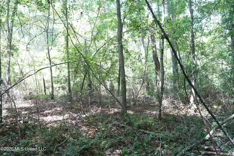 Joe Booth Road, Collins, MS 39428 photo 11