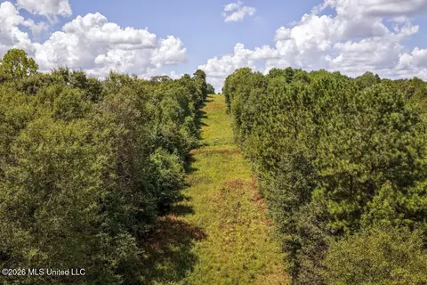 Joe Booth Road, Collins, MS 39428 photo 21