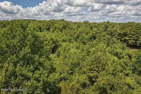 Joe Booth Road, Collins, MS 39428 photo 27
