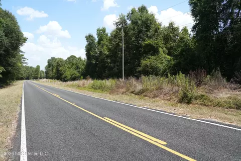 Joe Booth Road, Collins, MS 39428 photo 8