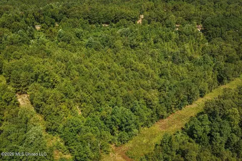 Joe Booth Road, Collins, MS 39428 photo 30