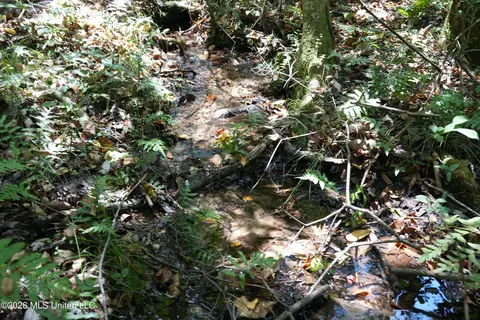Joe Booth Road, Collins, MS 39428 photo 7