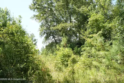 Joe Booth Road, Collins, MS 39428 photo 4