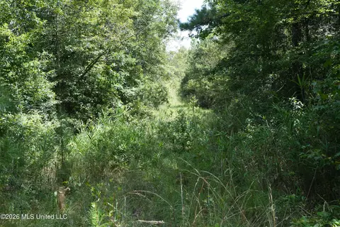 Joe Booth Road, Collins, MS 39428 photo 6