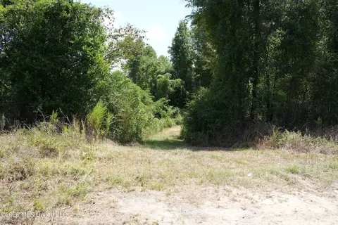 Joe Booth Road, Collins, MS 39428 photo 12
