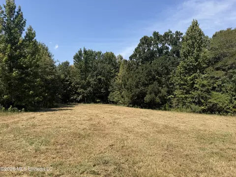 390 Springfield Rd, Senatobia, MS 38668 photo 7