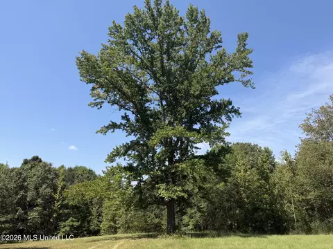 390 Springfield Rd, Senatobia, MS 38668 photo 9