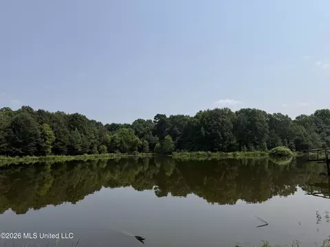 390 Springfield Rd, Senatobia, MS 38668 photo 18