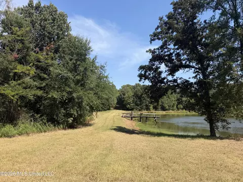 390 Springfield Rd, Senatobia, MS 38668 photo 5