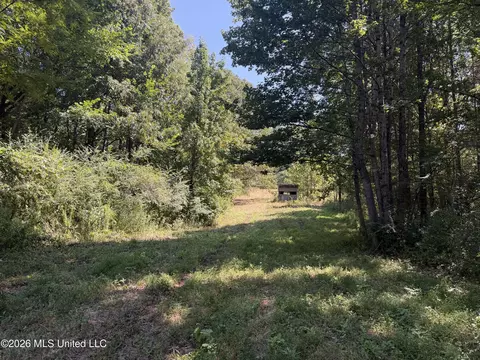 390 Springfield Rd, Senatobia, MS 38668 photo 8