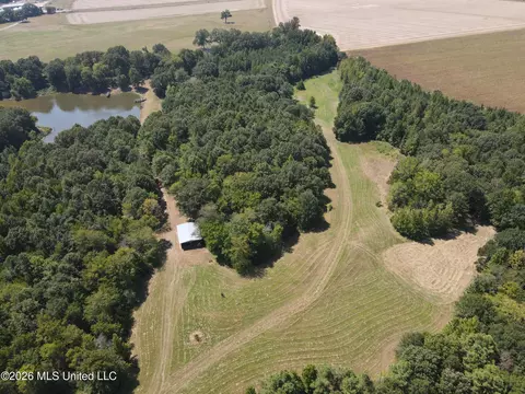 390 Springfield Rd, Senatobia, MS 38668 photo 11