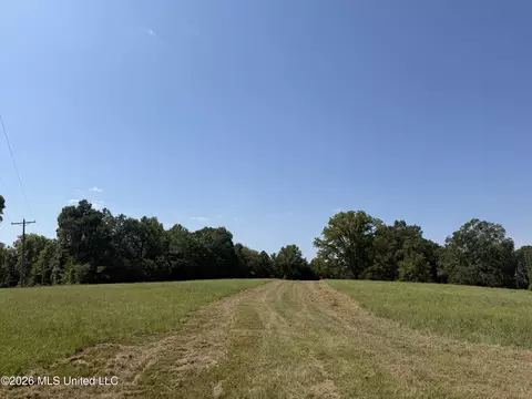 390 Springfield Rd, Senatobia, MS 38668 photo 2