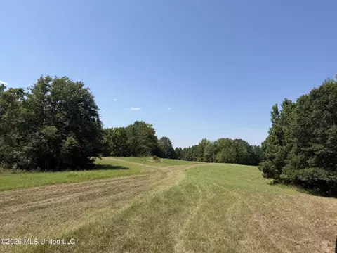 390 Springfield Rd, Senatobia, MS 38668 photo 3