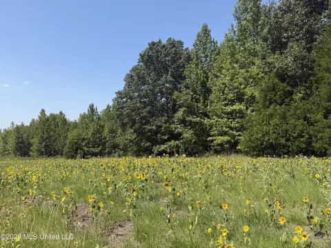 390 Springfield Rd, Senatobia, MS 38668 photo 6