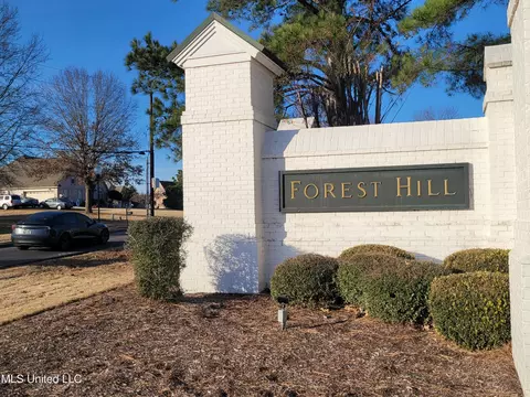 Other - 13165 Coldwater Dr, Olive Branch, MS 38654 photo 10 of 13