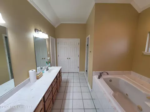 Bath - 13165 Coldwater Dr, Olive Branch, MS 38654 photo 1 of 7