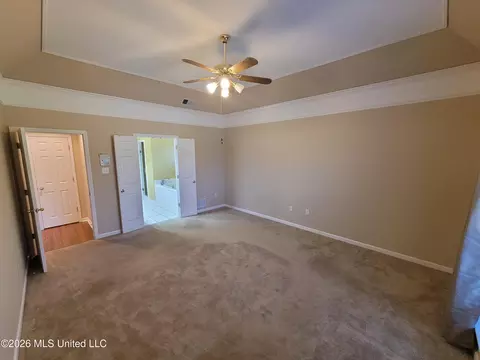 Other - 13165 Coldwater Dr, Olive Branch, MS 38654 photo 2 of 13
