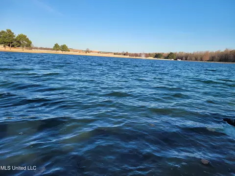 View/Area - 13165 Coldwater Dr, Olive Branch, MS 38654 photo 3 of 4