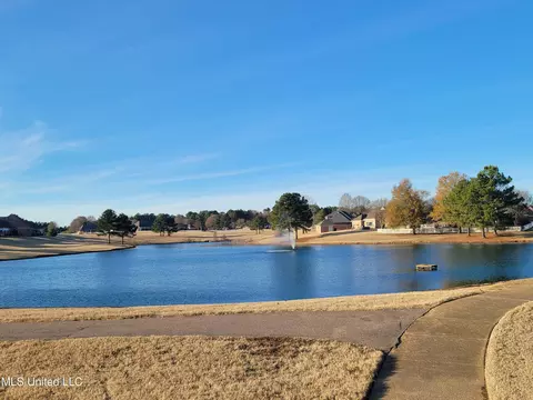 View/Area - 13165 Coldwater Dr, Olive Branch, MS 38654 photo 1 of 4