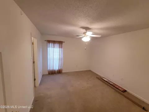 Other - 13165 Coldwater Dr, Olive Branch, MS 38654 photo 3 of 13