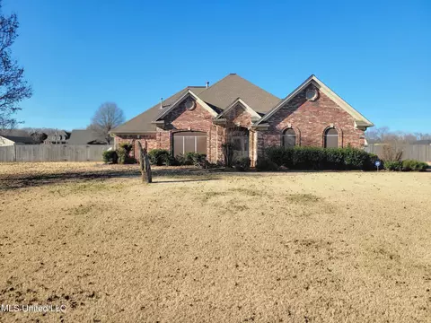 Exterior - 13165 Coldwater Dr, Olive Branch, MS 38654 photo 13 of 22