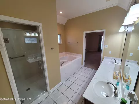 Bath - 13165 Coldwater Dr, Olive Branch, MS 38654 photo 3 of 7