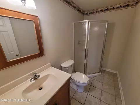 Bath - 13165 Coldwater Dr, Olive Branch, MS 38654 photo 5 of 7