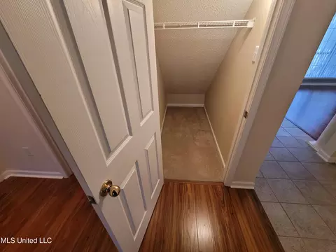 Other - 13165 Coldwater Dr, Olive Branch, MS 38654 photo 6 of 13