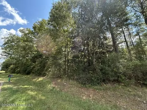 Carter Lane, Summit, MS 39666 photo 2