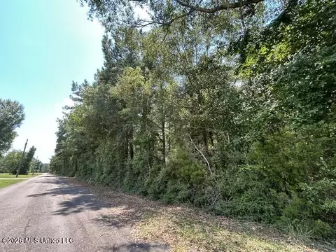 Carter Lane, Summit, MS 39666 photo 4