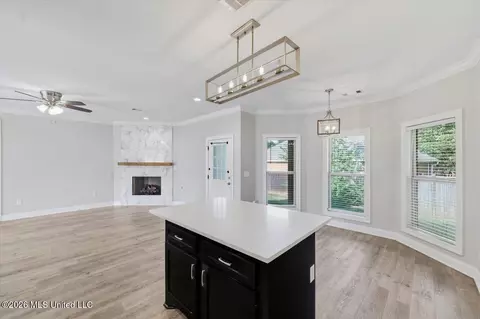 Living - 580 Hickory Pl, Brandon, MS 39047 photo 3 of 5