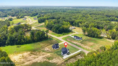View/Area - 5042 Sophia Ln, Hernando, MS 38632 photo 4 of 5