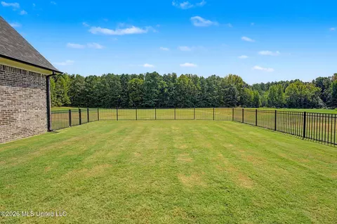 Exterior - 5042 Sophia Ln, Hernando, MS 38632 photo 9 of 12