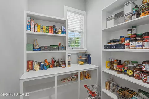 Other - 5042 Sophia Ln, Hernando, MS 38632 photo 8 of 18