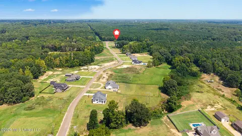 View/Area - 5042 Sophia Ln, Hernando, MS 38632 photo 5 of 5
