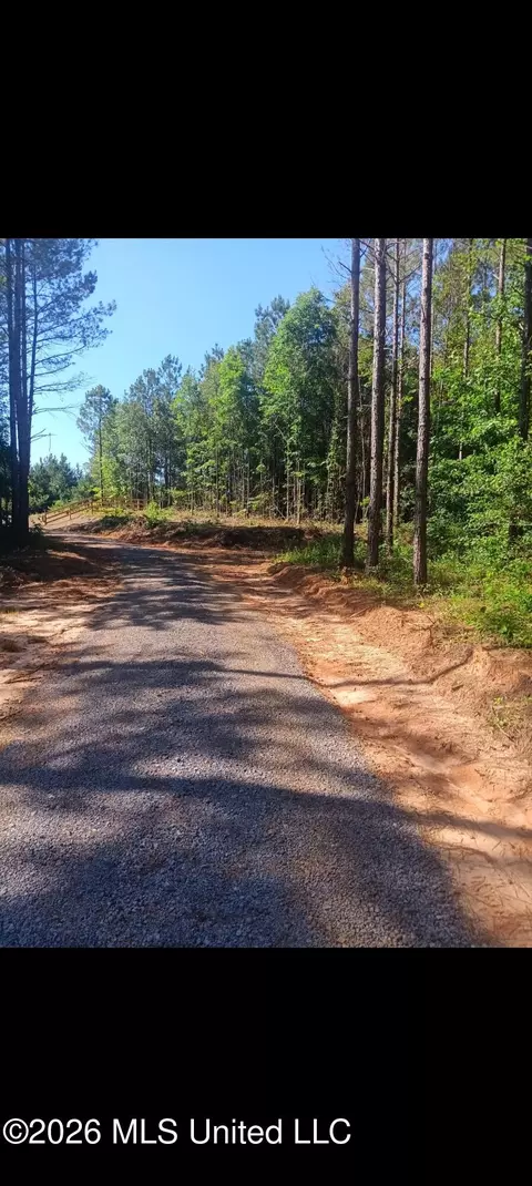 11451 County Road 270, Union, MS 39365 photo 5