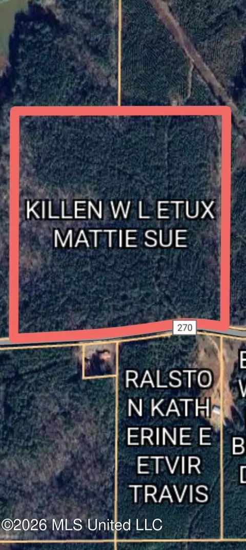11451 County Road 270, Union, MS 39365 photo 6