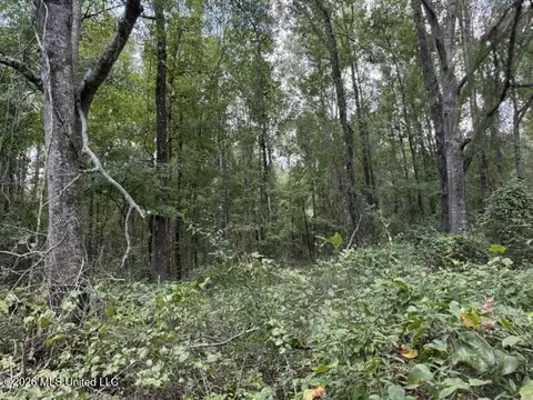 0 Tallabogue Rd, Forest, MS 39074 photo 18