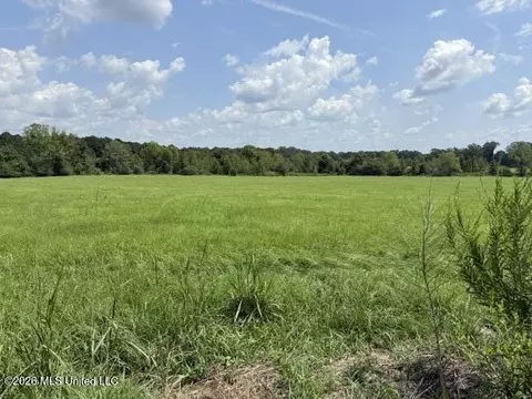 0 Tallabogue Rd, Forest, MS 39074 photo 10