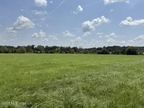 0 Tallabogue Rd, Forest, MS 39074 photo 13