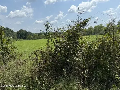 0 Tallabogue Rd, Forest, MS 39074 photo 3