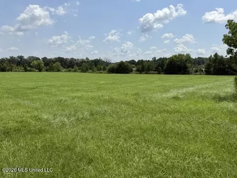 0 Tallabogue Rd, Forest, MS 39074 photo 15