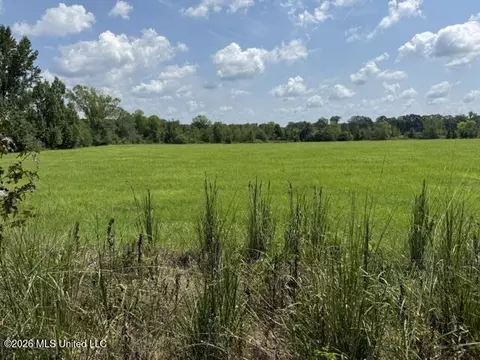 0 Tallabogue Rd, Forest, MS 39074 photo 7