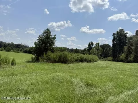 0 Tallabogue Rd, Forest, MS 39074 photo 14